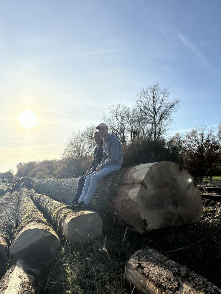 4728ed78-69bc-4f50-a34b-766746e4958f